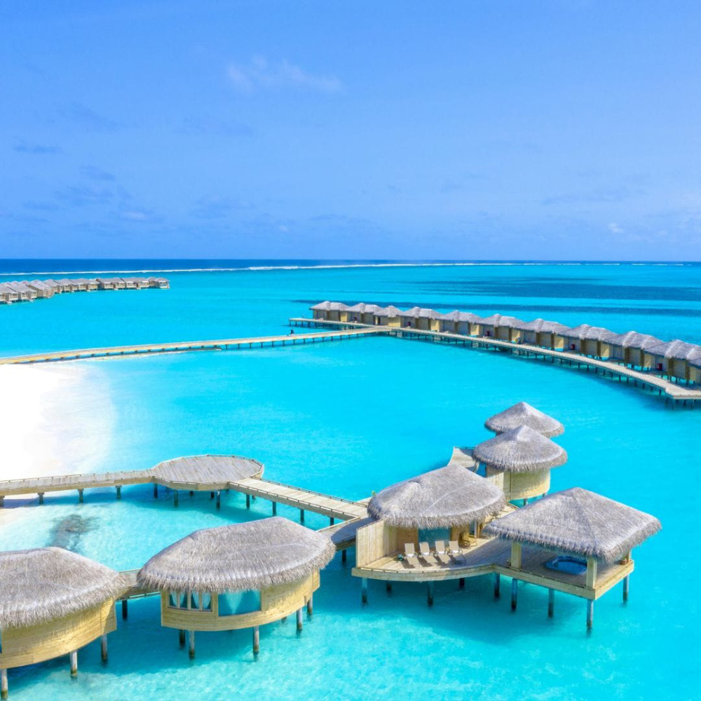 Dr. Travel Summer Dreams